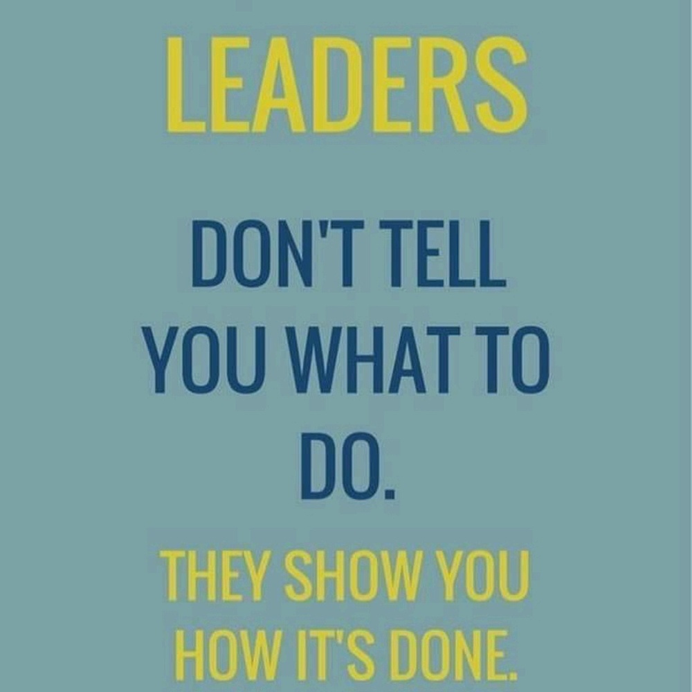 Meet your Posher, Caryn